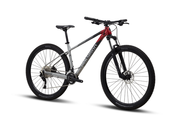 Shop Polygon Xtrada 29