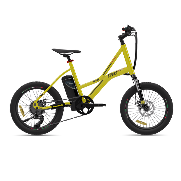 Ebike Urban Sport Pro Vaan Electric Cycle Price Eco Bike Pro