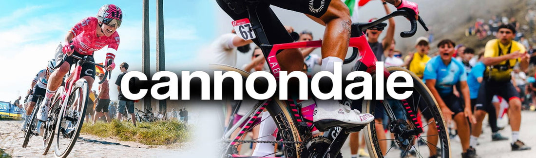Which Cannondale Bike Is Right for You? Road, Gravel, Mountain & Hybrid Models Explained