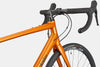 Cannondale Synapse 2 Tiger Eye in outdoor road cycling setup