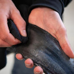 150ml bottle of Dynamic Wipe Out Sealant Remover, an essential tool for cleaning tubeless bicycle tires.