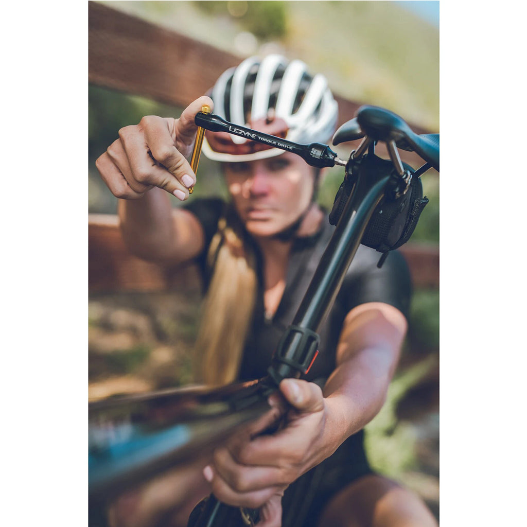 Lezyne portable torque wrench kit with Allen and Torx bits

