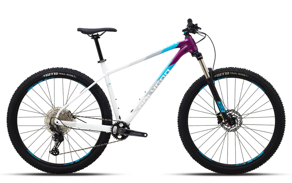 Polygon xc trail hotsell