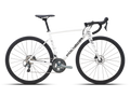 Side view of a white Polygon Strattos S4D road bike with black handlebars and seat, against a plain light background.