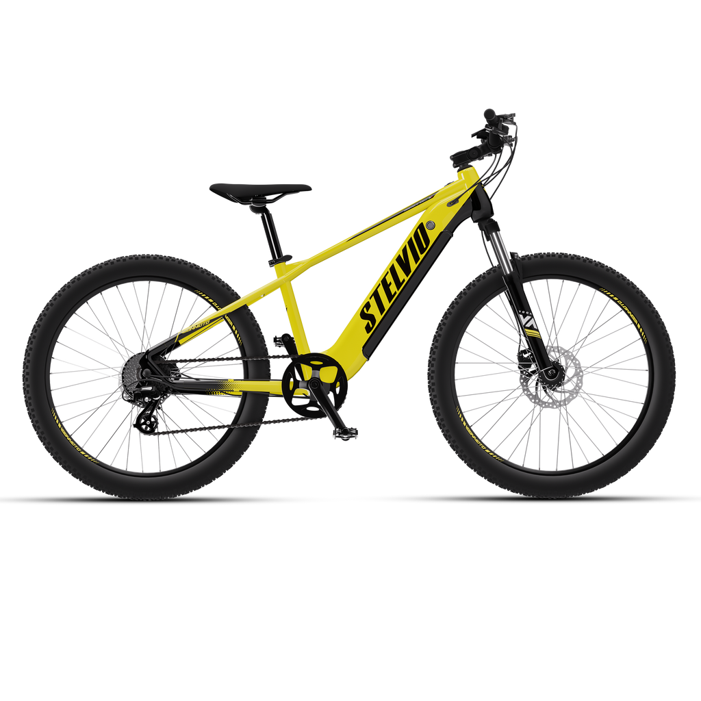 Shop Vaan Stelvio Electric MTB Bike (Yellow) Online in India | United By Cycling