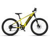 Shop Vaan Stelvio Electric MTB Bike (Yellow) Online in India | United By Cycling