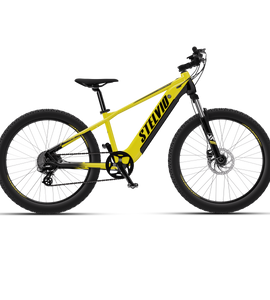 Vaan Stelvio Electric MTB Bike (Yellow)
