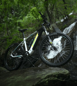 Vaan Stelvio Electric MTB Bike (White)