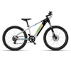 Shop Vaan Stelvio Electric MTB Bike (White) Online in India | United By Cycling