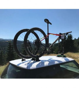 TreeFrog L1 Front Wheel Holder