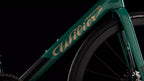 close up of a Wilier Garda Disc carbon road bike with a green frame, designed for endurance cycling.

