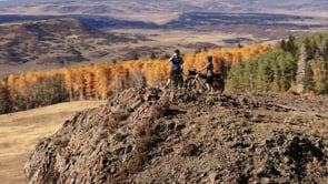 Polar Breakaway Wave Bottle-Navy Blue (880ml)