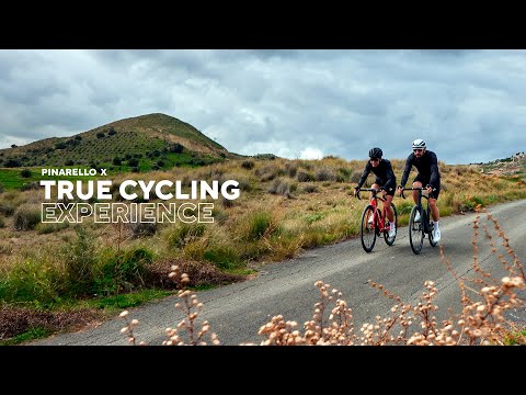 PINARELLO X1 (Shiny Black)