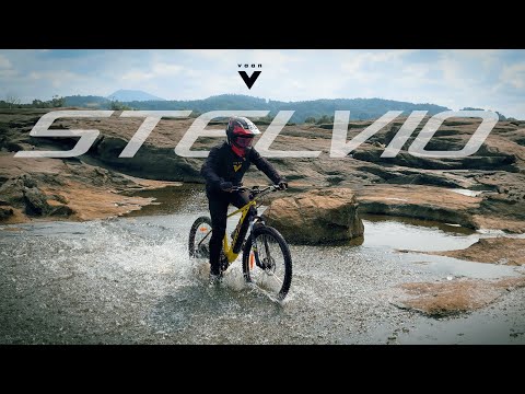 Vaan Stelvio Electric MTB Bike (Yellow)