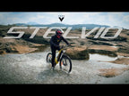 Vaan Stelvio Electric MTB Bike (Yellow)