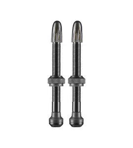 Schwalbe Tubeless Valves (1 Pair) - 60 mm