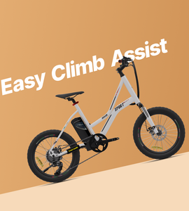 Vaan Urbansport Lite E-bike (White)