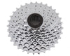 Shop SRAM 9 Speed Cassette PG-950 11-32T Online in India | United By Cycling