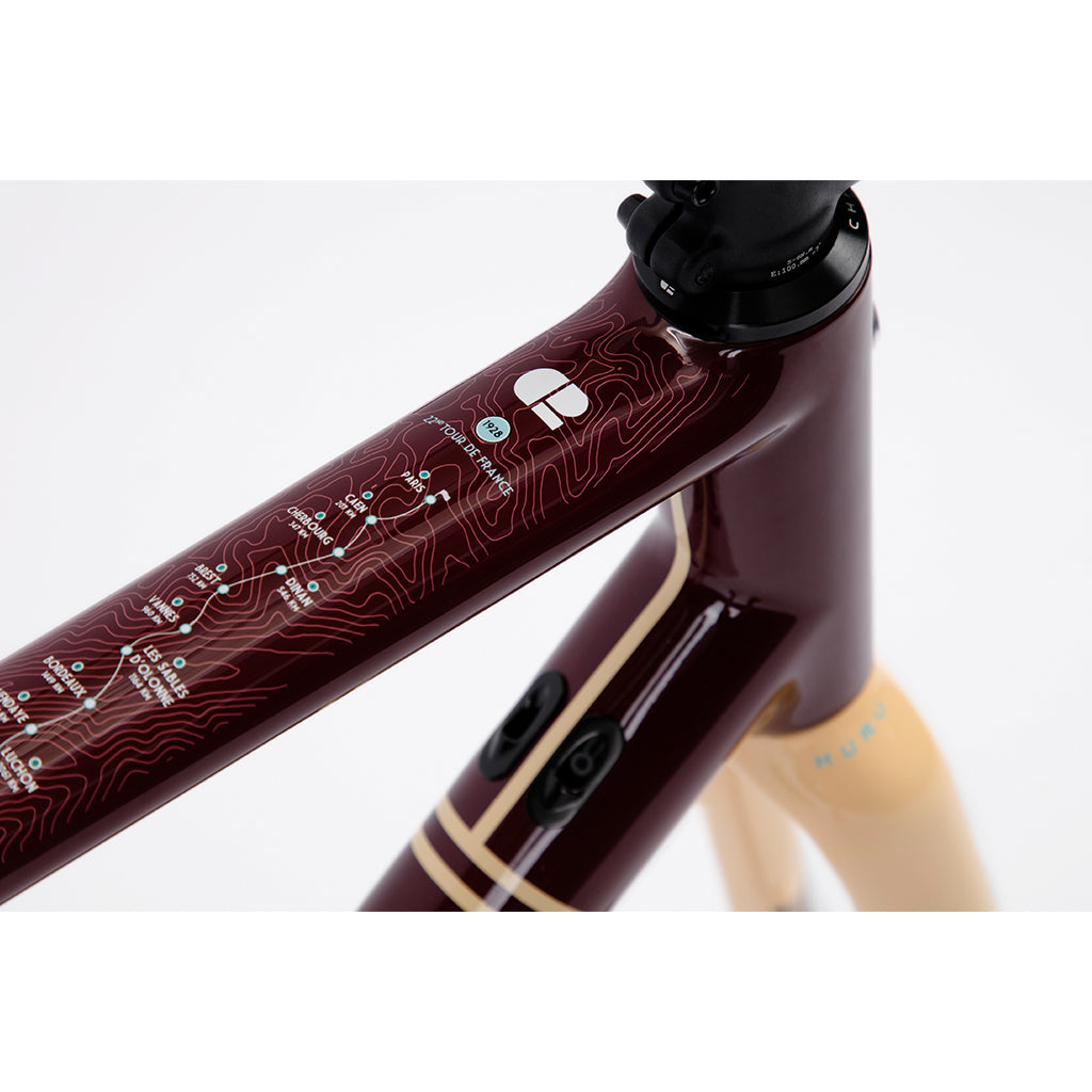 Shop Chapter2 HURU Climbing Disc Brake Frameset(Maroon 1928)  Online in India  | United By Cycling