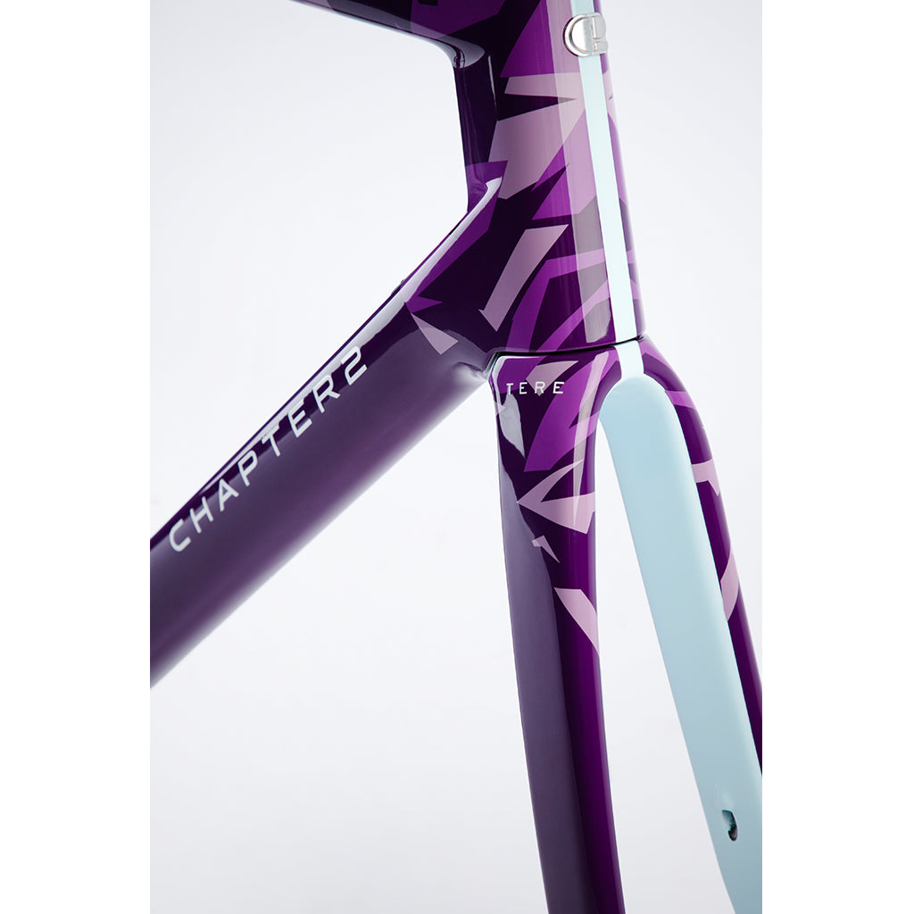 Shop Chapter2 TERE All-Road Disc Brake Frameset(Purple Sky-Ahuriri)  Online in India  | United By Cycling