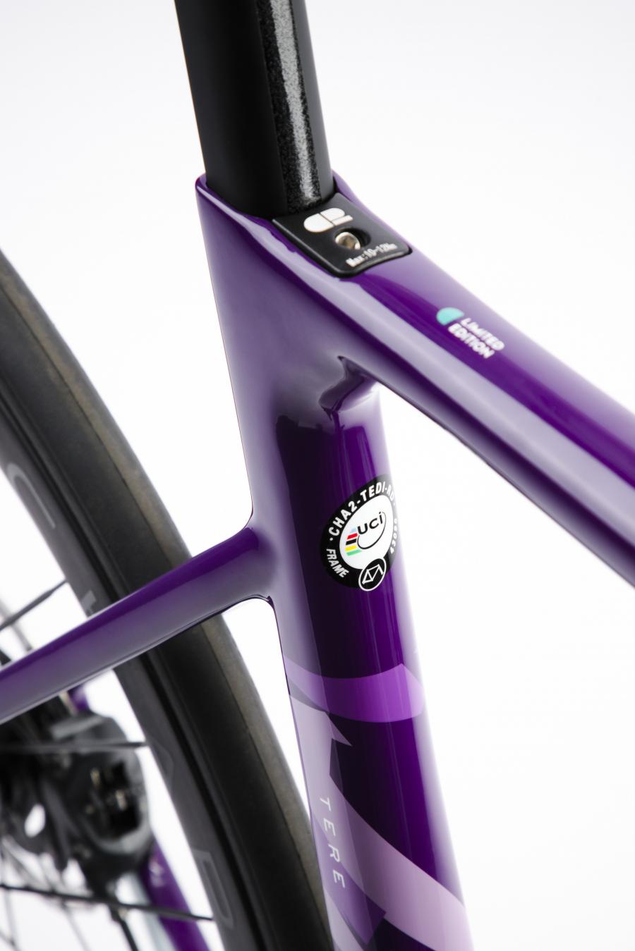 Shop Chapter2 TERE All-Road Disc Brake Frameset(Purple Sky-Ahuriri)  Online in India  | United By Cycling