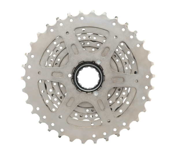 Shop Shimano 8 Speed Cassette CS-HG50 (11-34T) Online In India