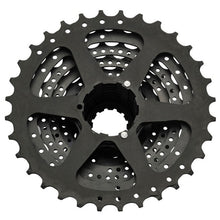 Shop Shimano Altus 8 Speed Cassette CS-HG31 (11-34T) Online In India